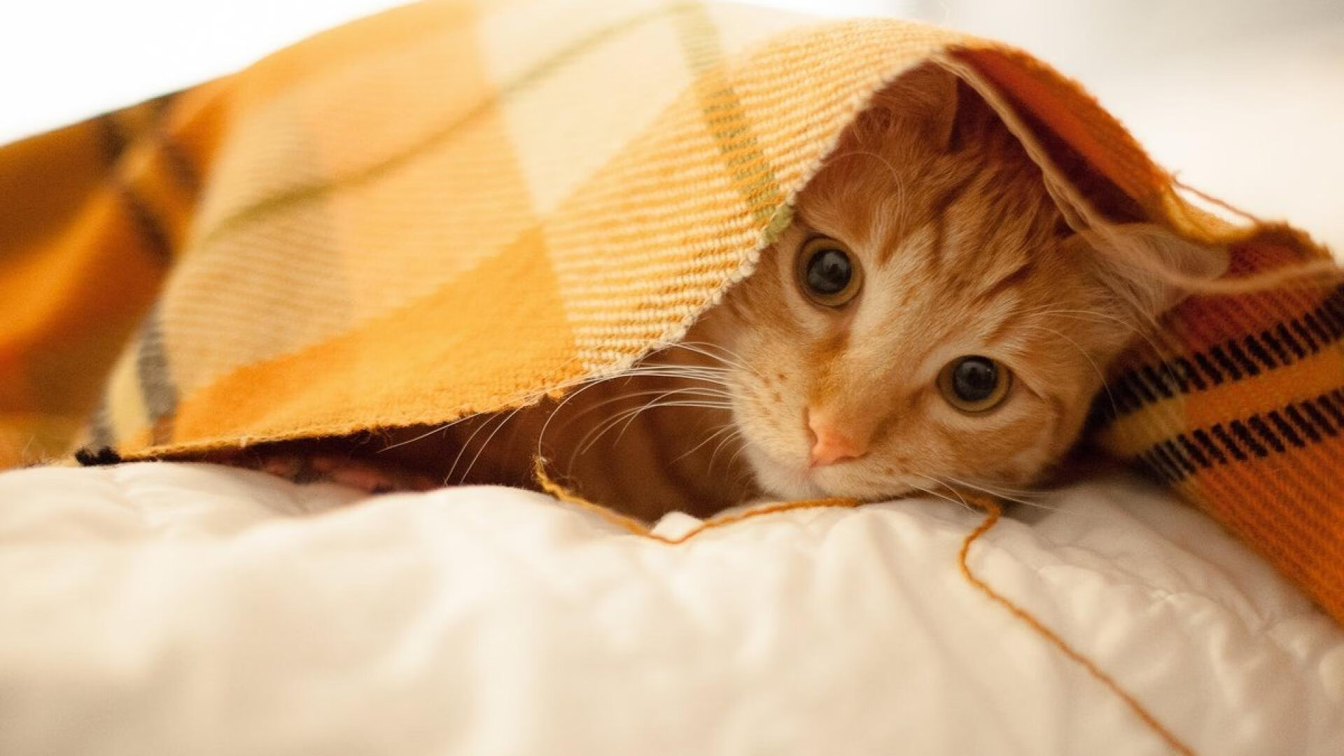 五大联赛是否通过压迫位置错位制造反击漏洞，五大联赛打法