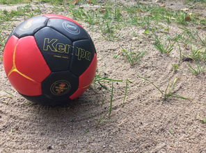 kaiyun.com-中国篮球推动青少年比赛规则标准统一促进公平竞争，篮球青少年联赛