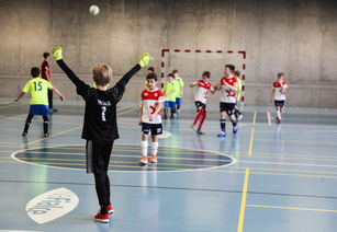 国家运动医学研究院发布运动员训练负荷监控手册，运动负荷监控的主要内容